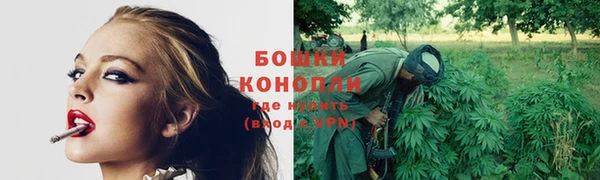бошки Белокуриха