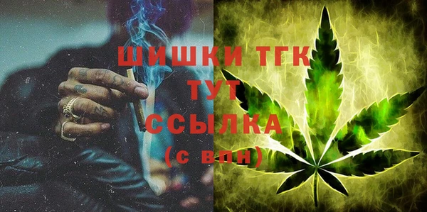 стаф Богородск