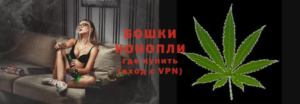 шишки Беломорск