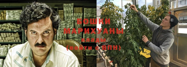 стаф Богородск