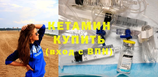 шишки Беломорск