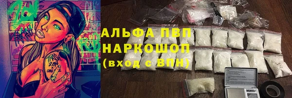 шишки Беломорск