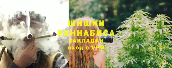 стаф Богородск