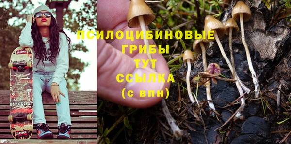 гидра Белоозёрский