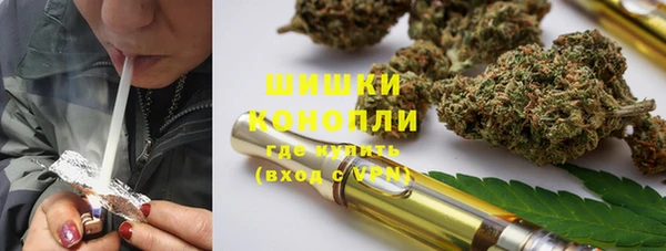 шишки Беломорск