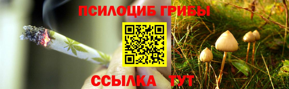 Галлюциногенные грибы мицелий Саяногорск